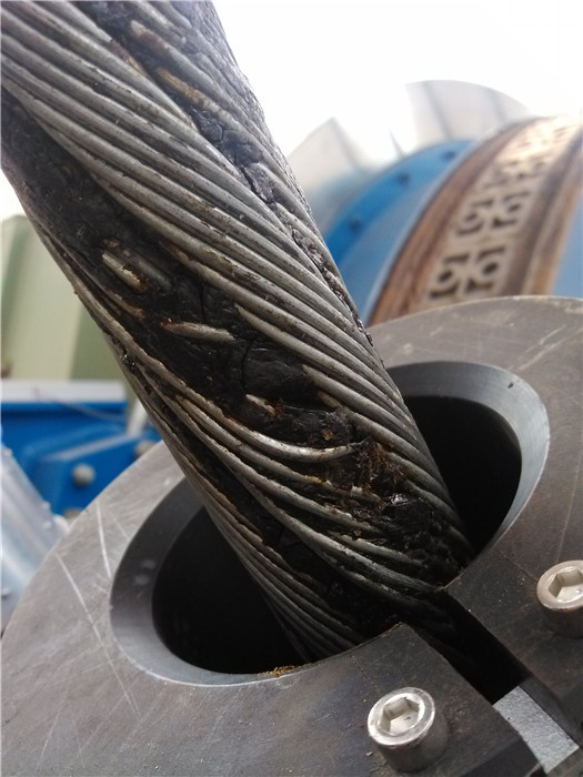 青青草视频免费看无损检测